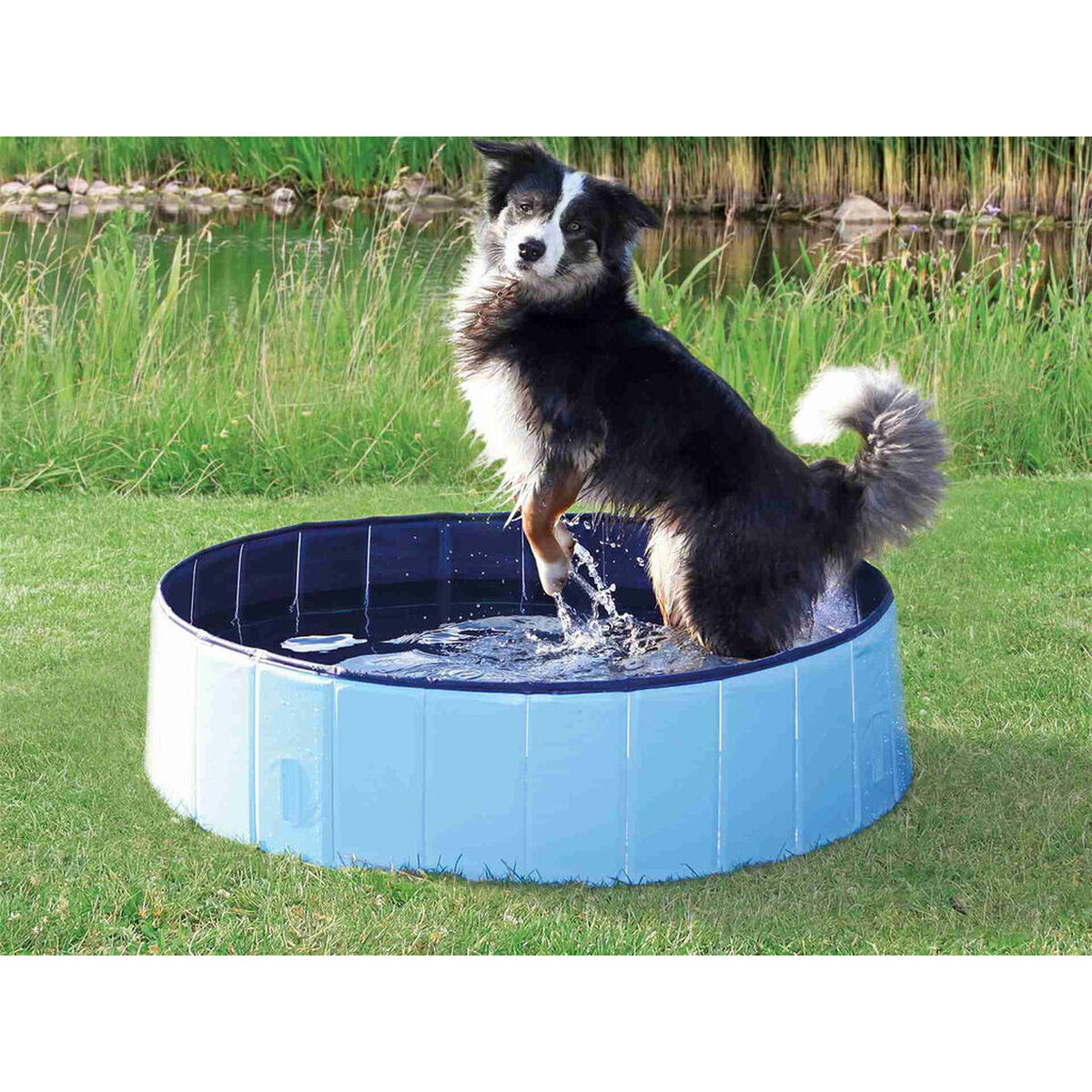 Dog Pool Trixie Blue Light Blue, view 3
