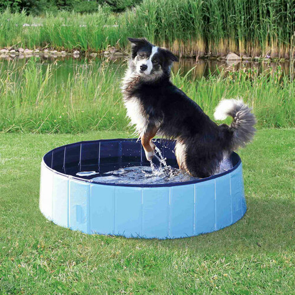 Dog Pool Trixie Blue Light Blue, view 4