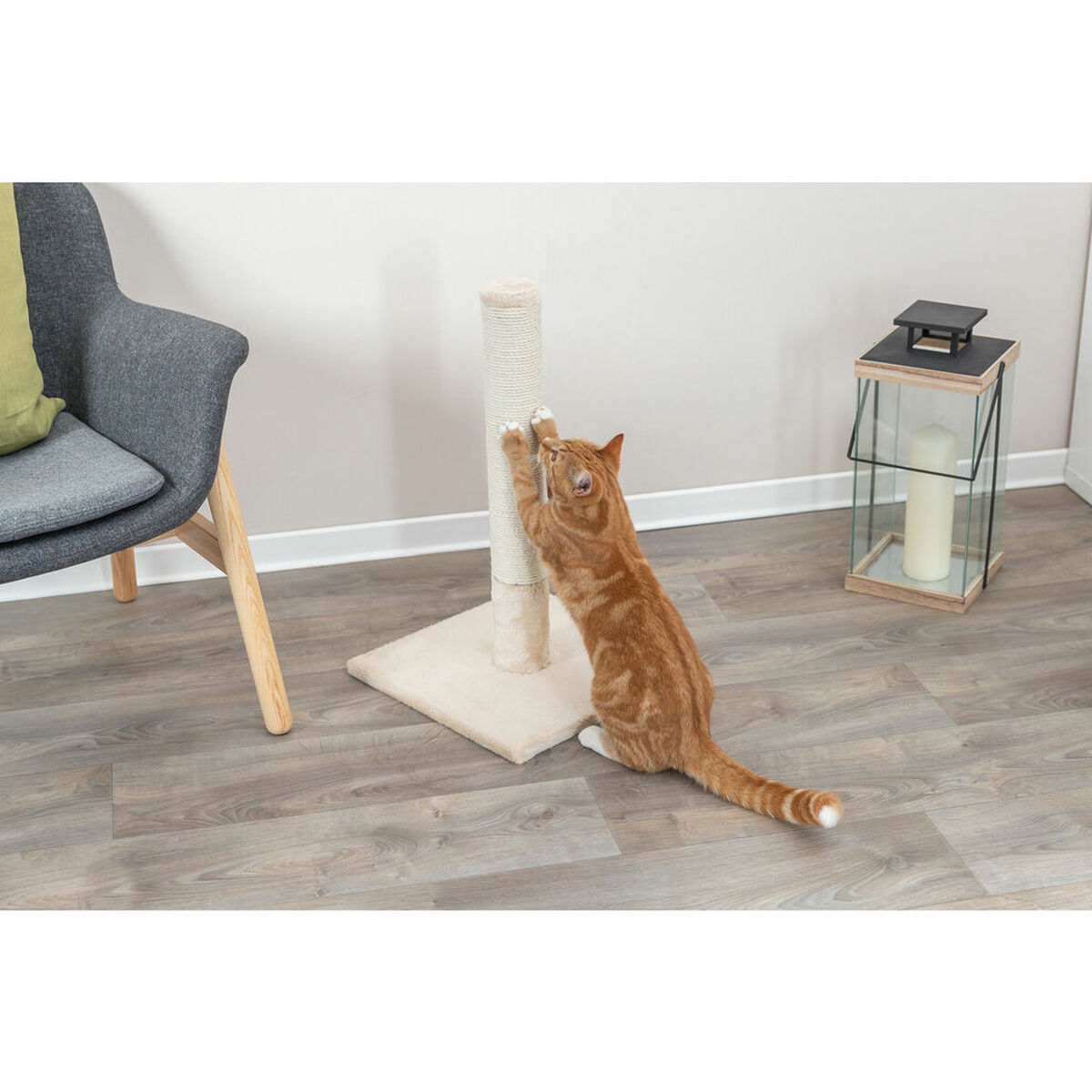 Scratching Post for Cats Trixie Batres Beige Ø 9 cm 62 cm, view 3
