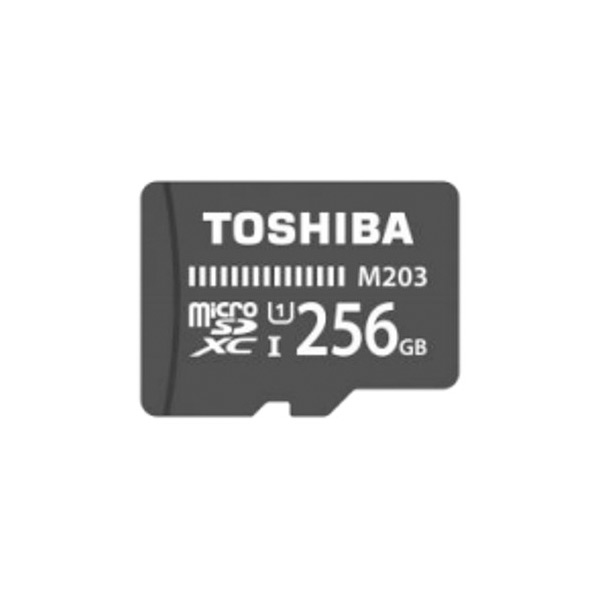 Tarjeta Micro SD Toshiba THN-M203K2560EA 256 GB