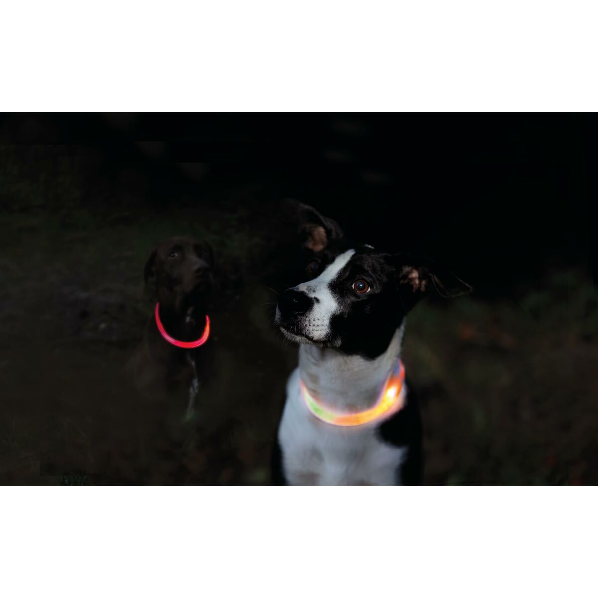 LED Collar for Pets Trixie Orange XS/S, view 4