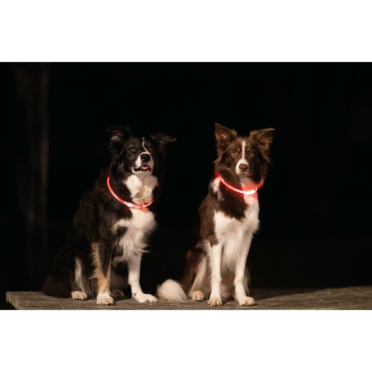 LED Collar for Pets Trixie Pink L/XL, view 4