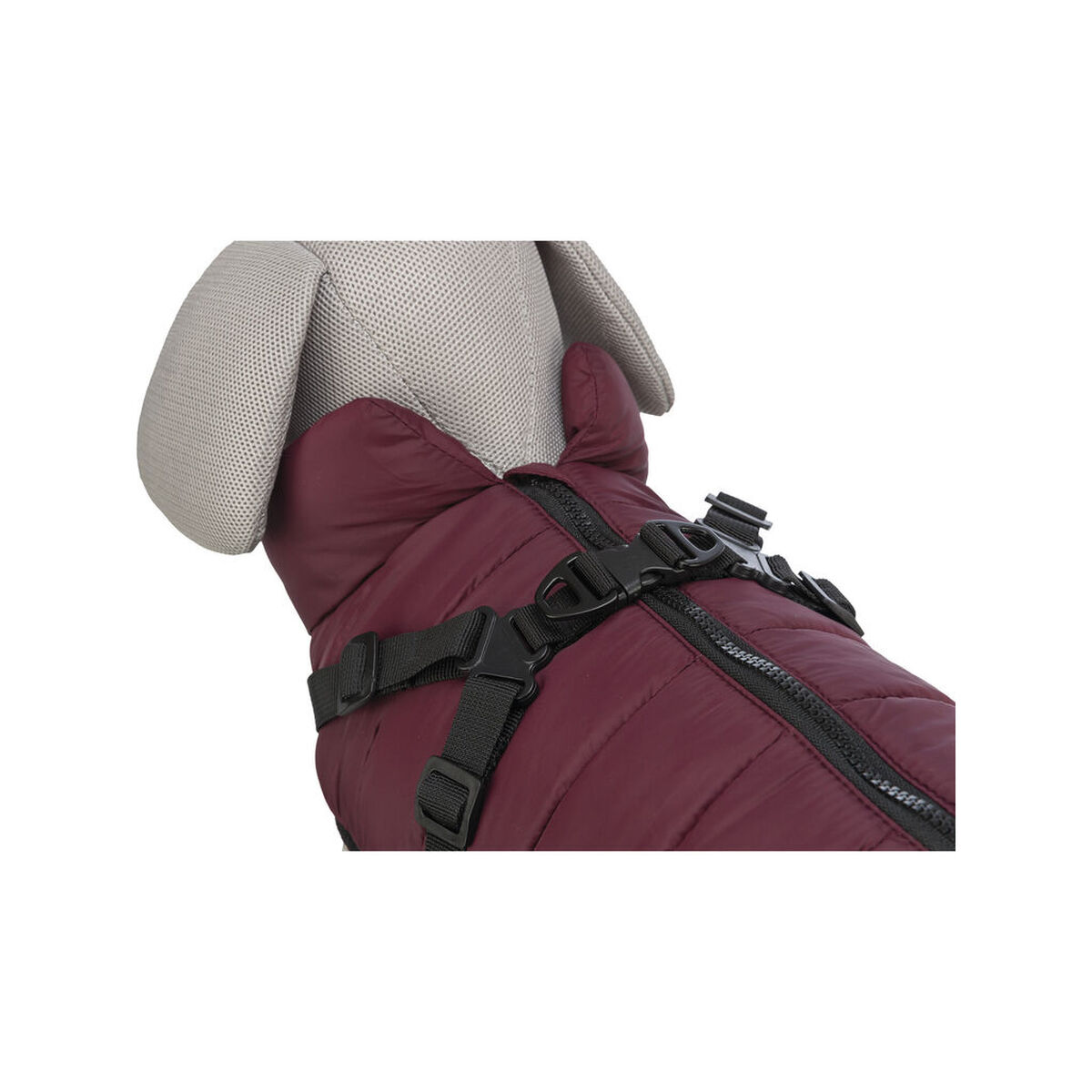 Dog Coat Trixie Pirou Maroon XS, view 6