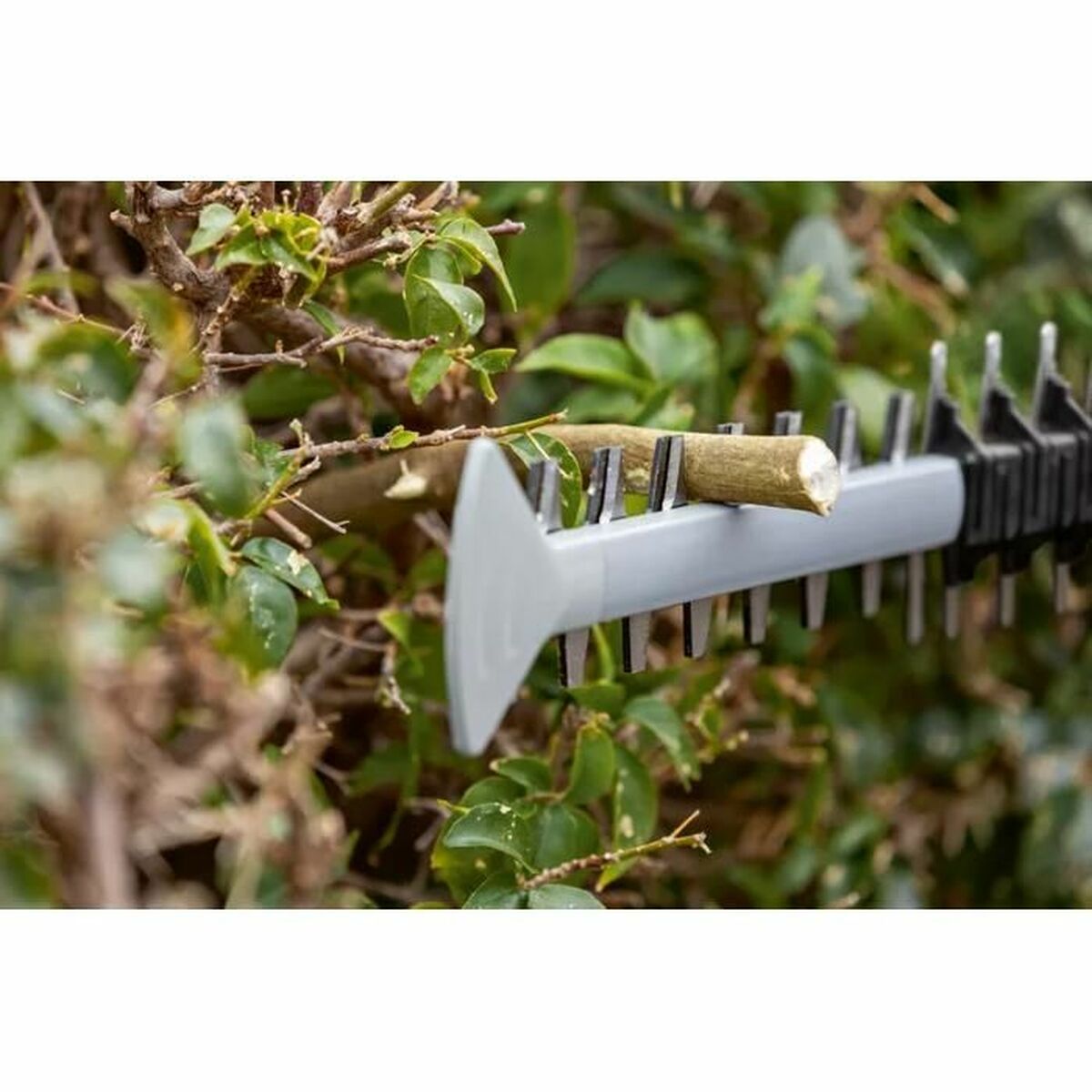 Nożyce do żywopłotu BOSCH 06008C9500 18 V