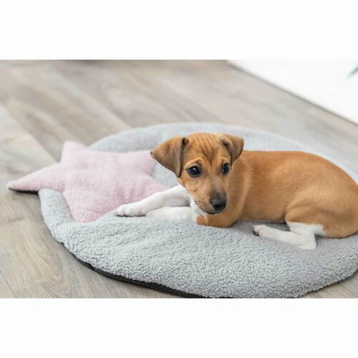Matras Trixie Grijs Lila 55 x 61 cm