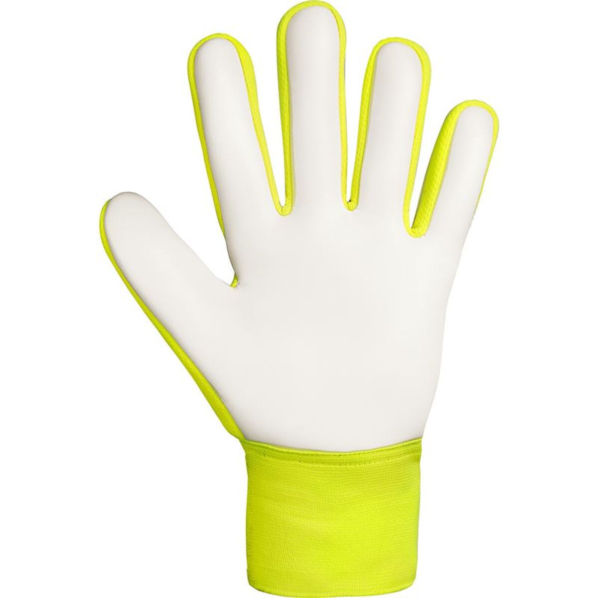 Keeperhandschoenen Reusch Attrakt Starter Geel Volwassenen