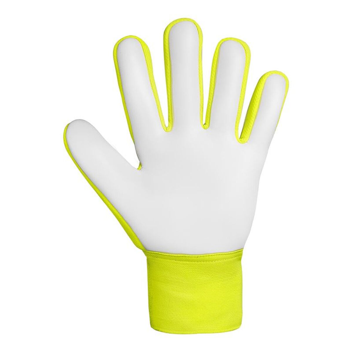 Keeperhandschoenen Reusch Attrakt Starter Zwart