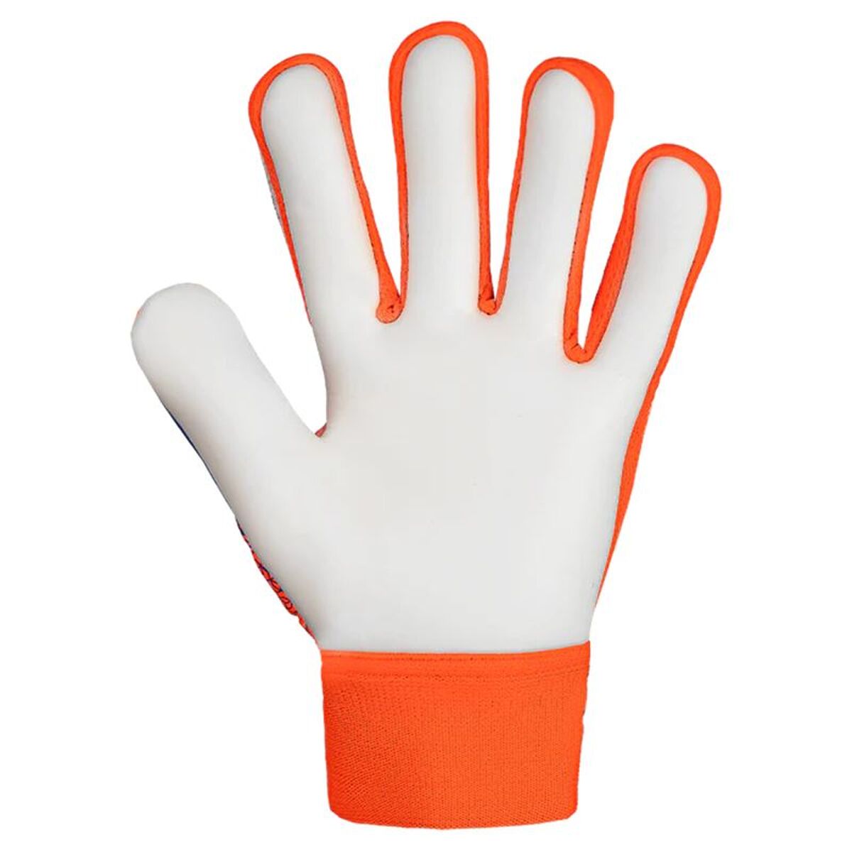 Keeperhandschoenen Reusch Attrakt Starter Blauw Oranje