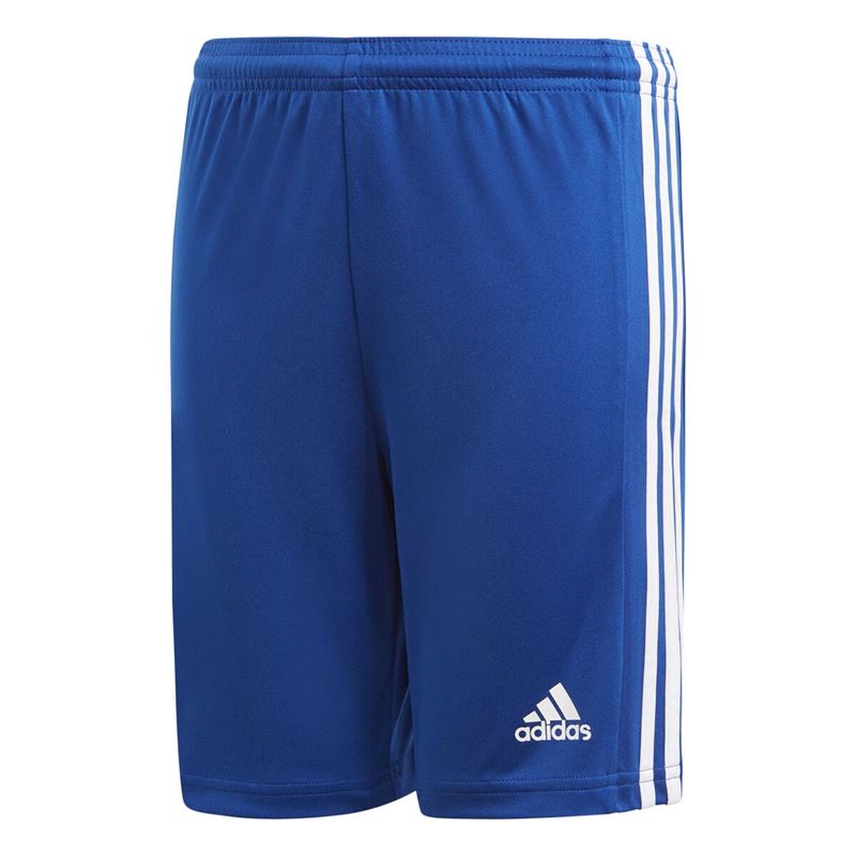 Sportbroek Adidas Squad 21 Blauw