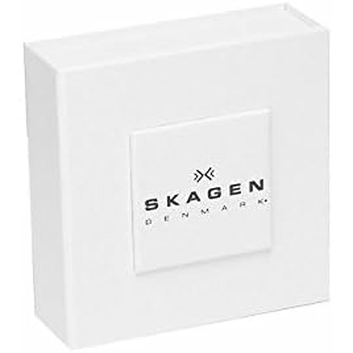 Hanger Dames Skagen SKJ1592998 Zilverkleurig