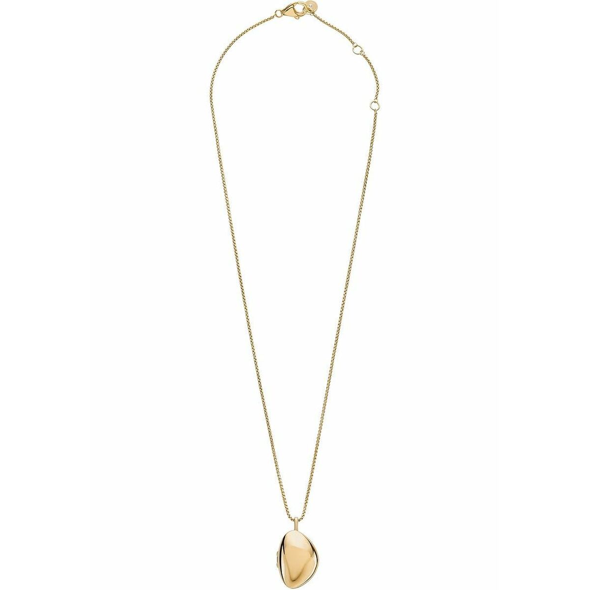 Pendentif Femme Skagen SKJ1750710 Doré
