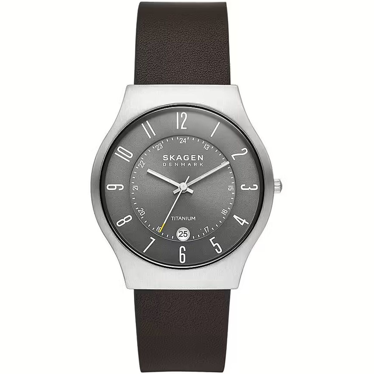 Ανδρικά Ρολόγια Skagen SUNDBY TITANIUM (Ø 40 mm)