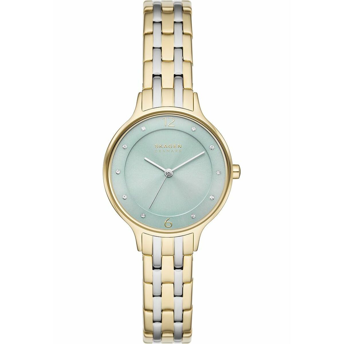 Montre Femme Skagen SKW3132