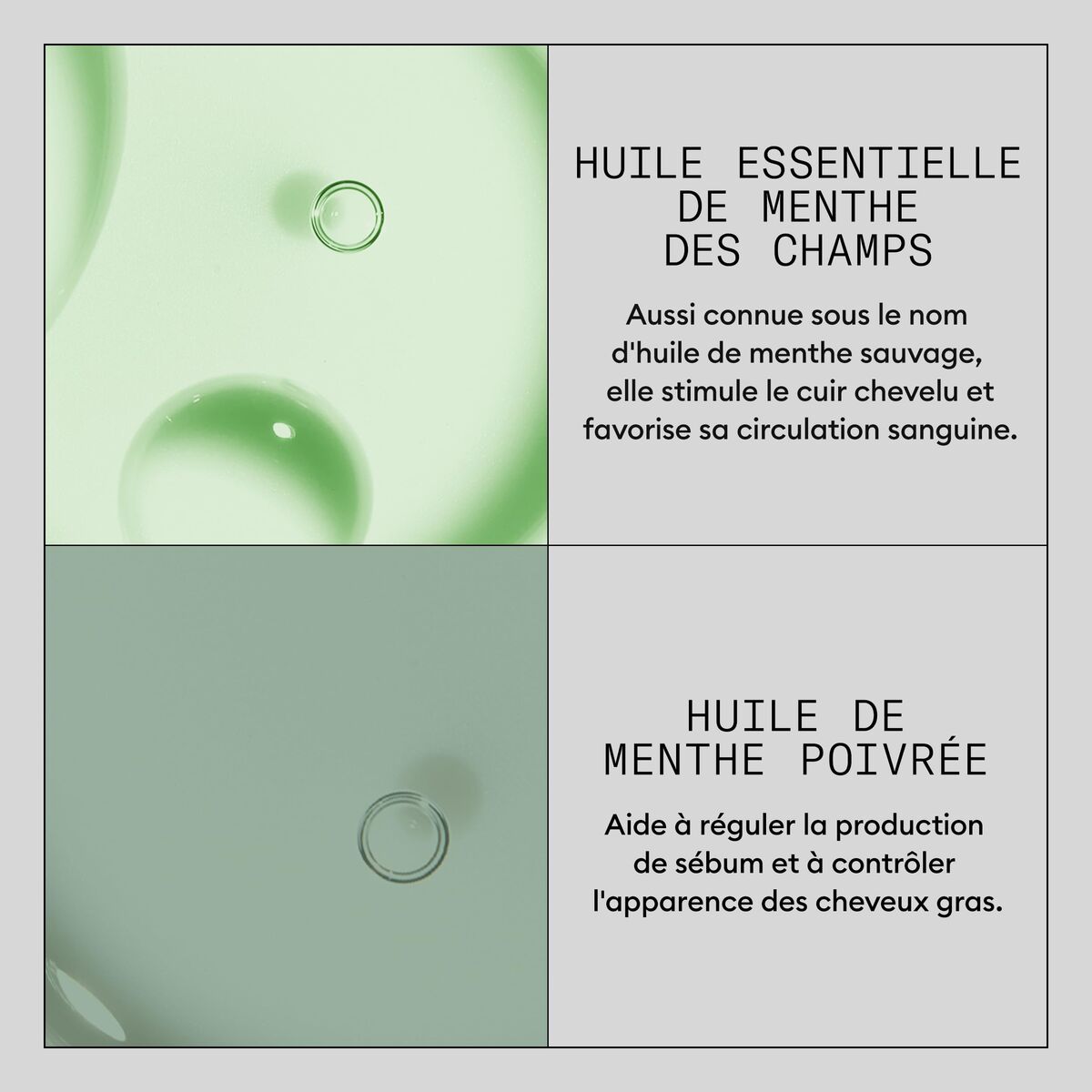 Droge Shampoo Nioxin 180 ml