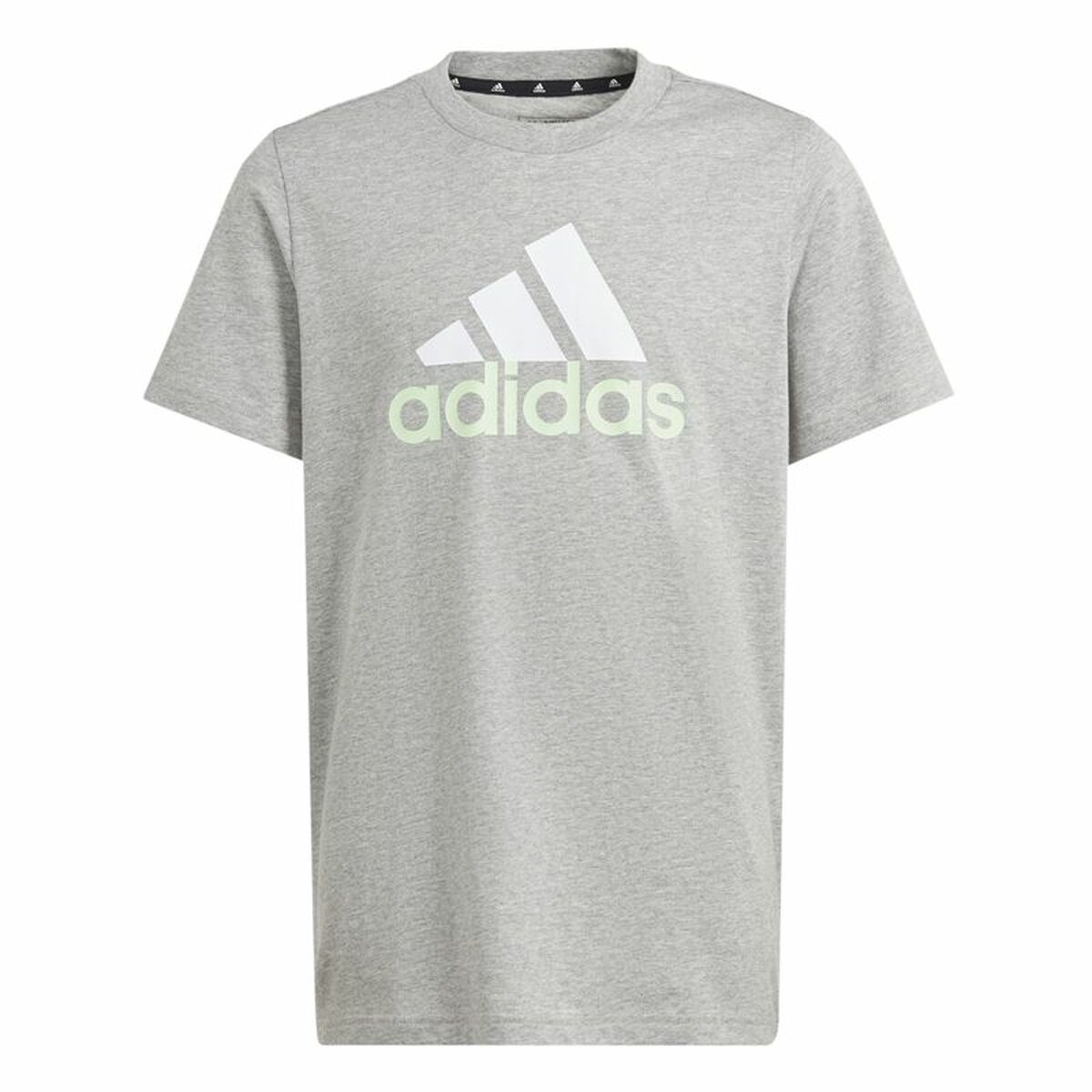 T shirt à manches courtes Adidas Big Logo 2 Gris