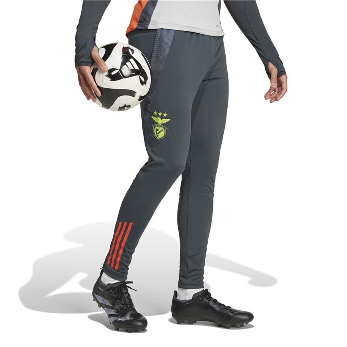 Voetbal Trainingsbroeken voor Volwassenen Adidas SL Benfica 24/25 Tiro24 Grijs Mannen