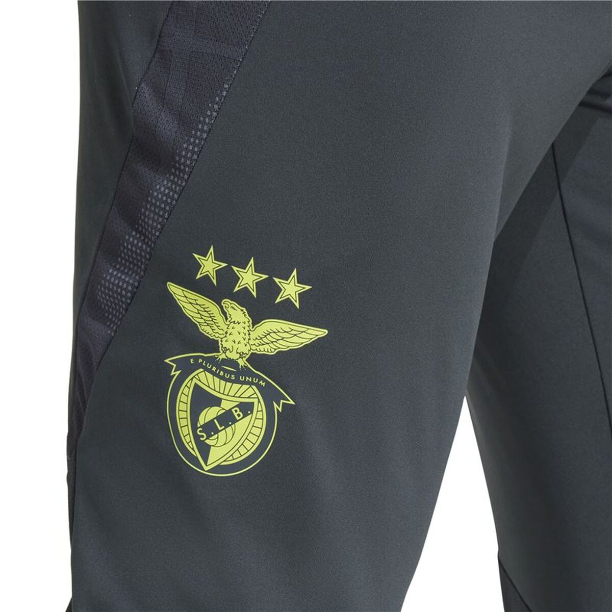 Voetbal Trainingsbroeken voor Volwassenen Adidas SL Benfica 24/25 Tiro24 Grijs Mannen