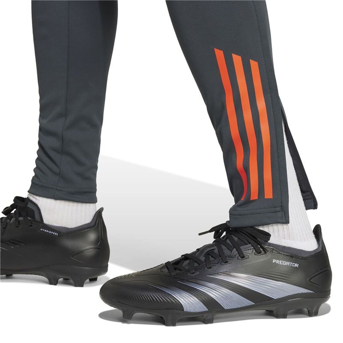Voetbal Trainingsbroeken voor Volwassenen Adidas SL Benfica 24/25 Tiro24 Grijs Mannen