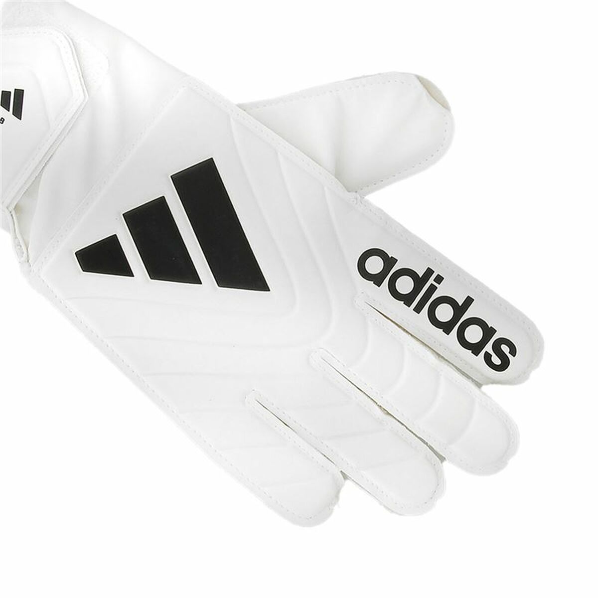 Keeperhandschoenen Adidas Copa Clb Wit Volwassenen