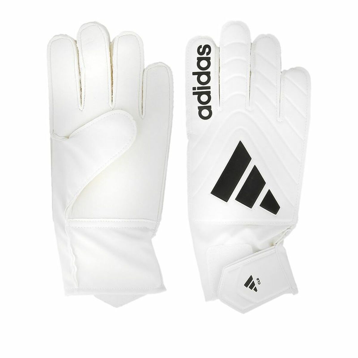 Keeperhandschoenen Adidas Copa Clb Wit Volwassenen