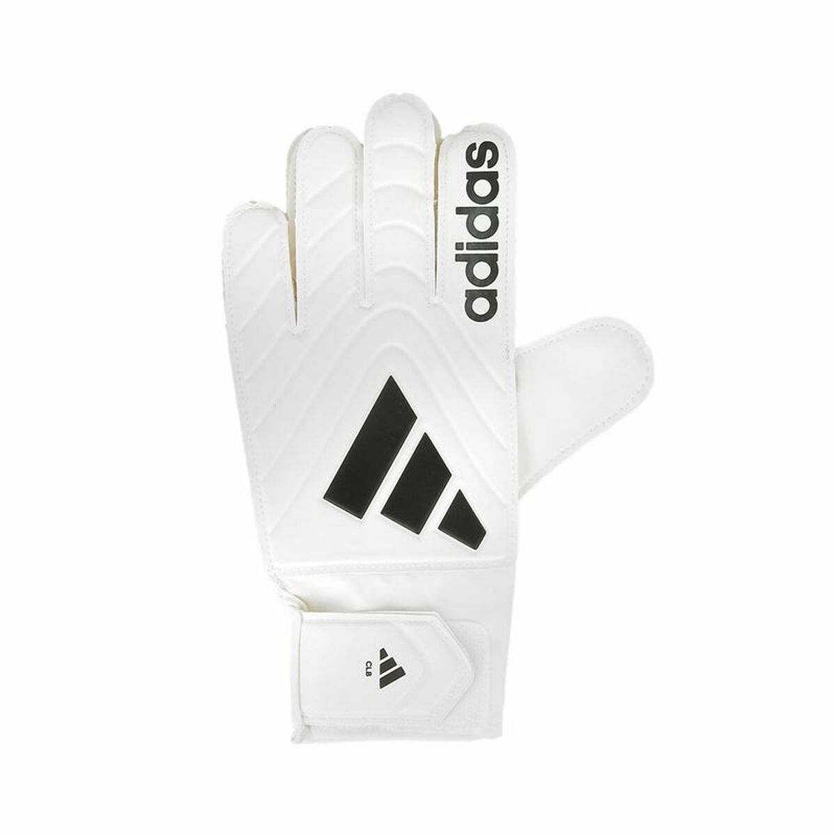 Keeperhandschoenen Adidas Copa Clb Wit Volwassenen