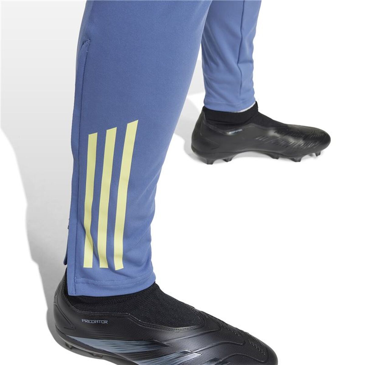 Voetbal Trainingsbroeken voor Volwassenen Adidas Ajax Amsterdam 24/25 Tiro24 Blauw Mannen