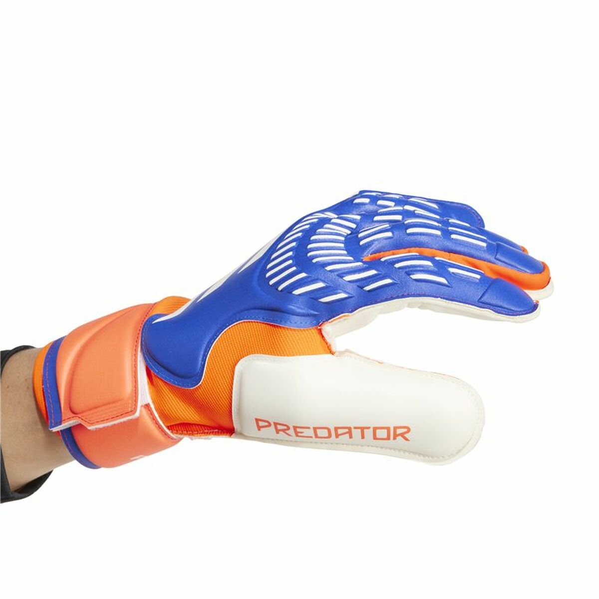 Keeperhandschoenen Adidas Predator Match Multicolour Volwassenen