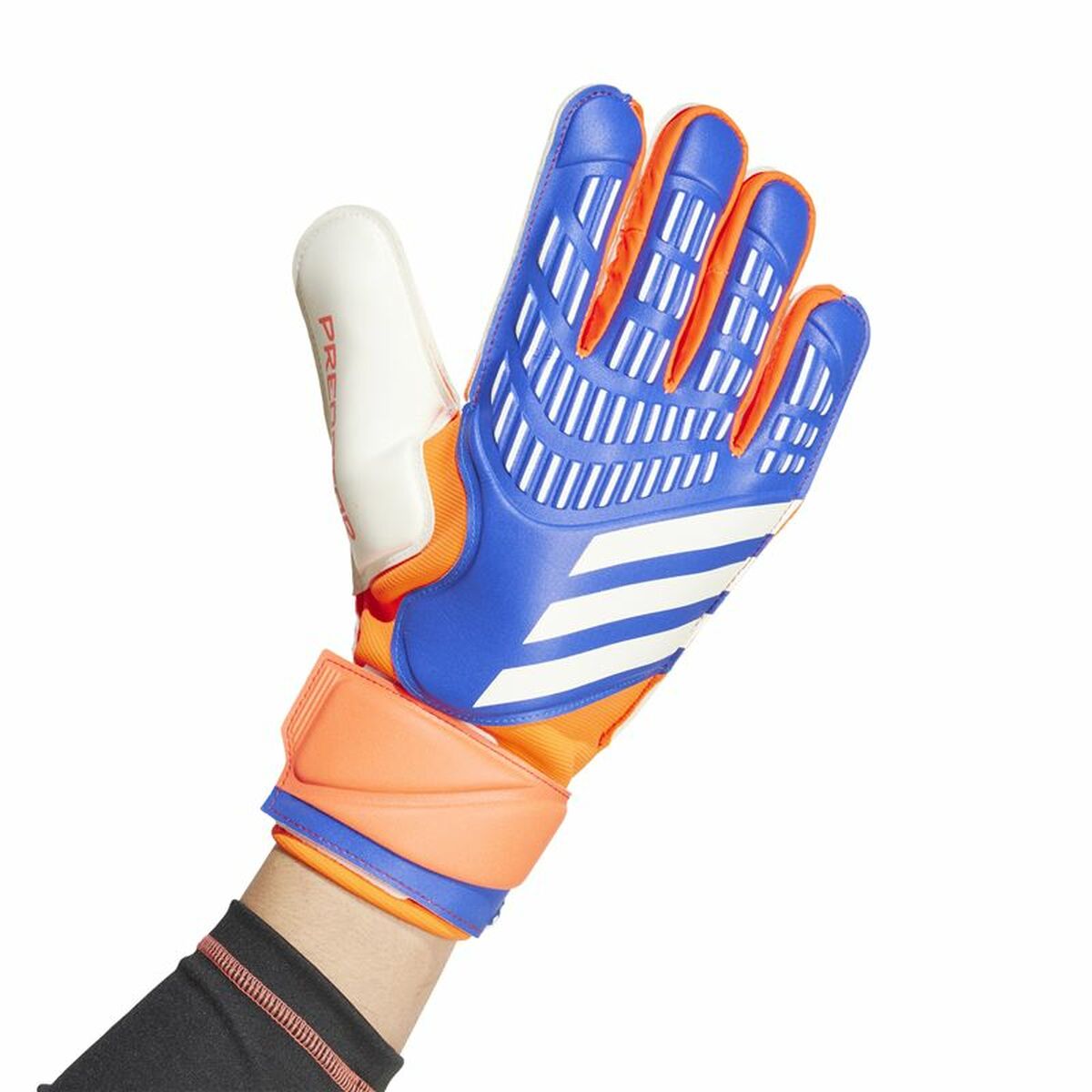 Keeperhandschoenen Adidas Predator Match Multicolour Volwassenen