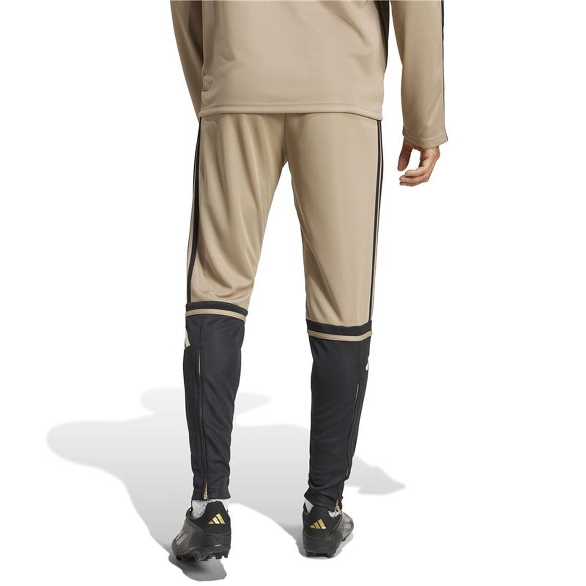 Voetbal Trainingsbroeken voor Volwassenen Adidas Squadra25 Tr