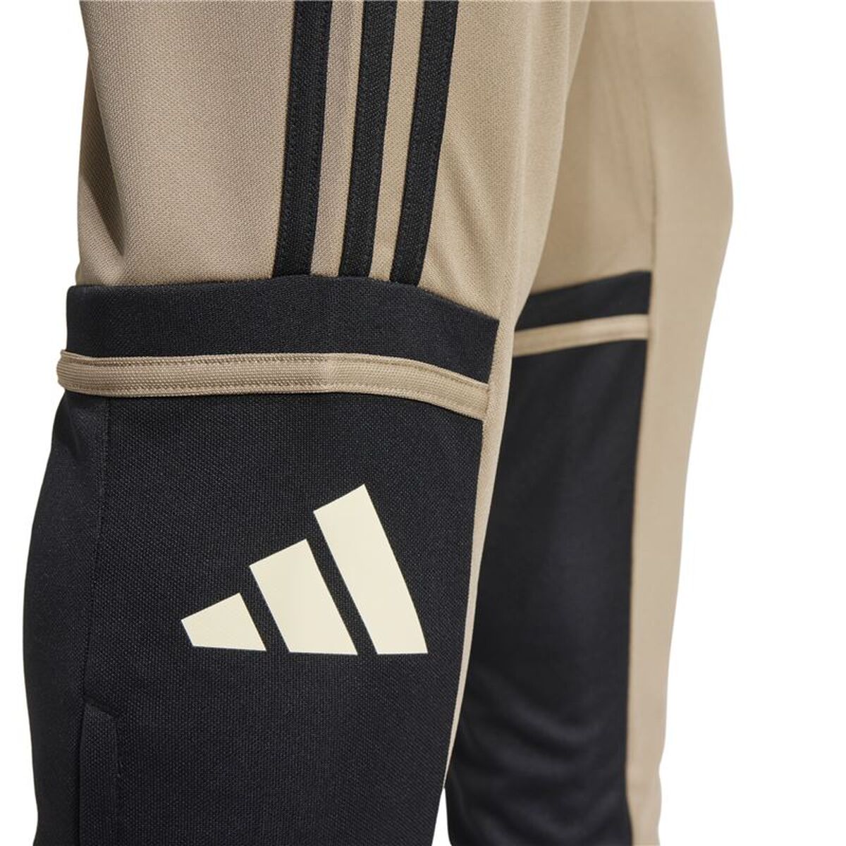 Voetbal Trainingsbroeken voor Volwassenen Adidas Squadra25 Tr