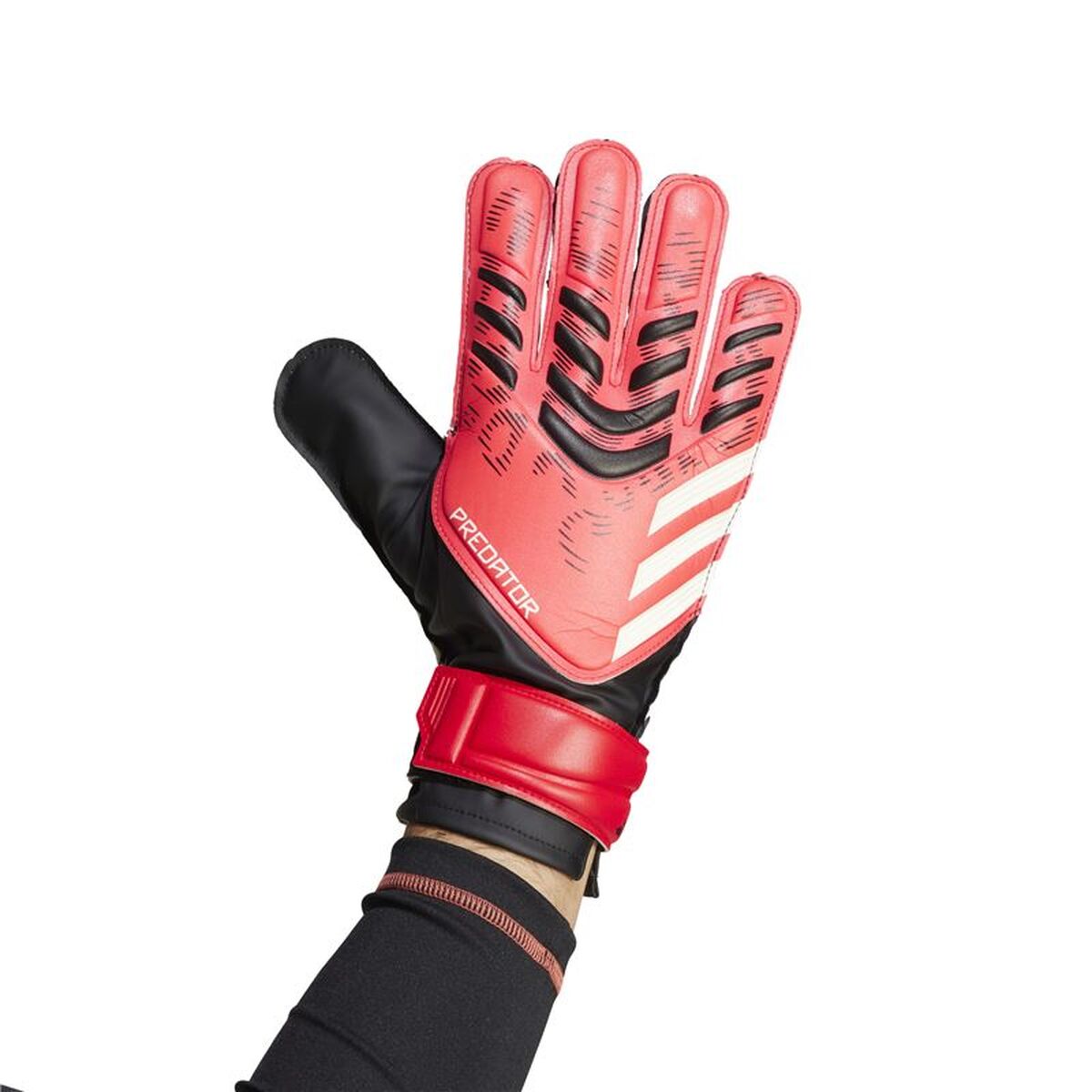 Keeperhandschoenen Adidas Predator Trn Rood Volwassenen