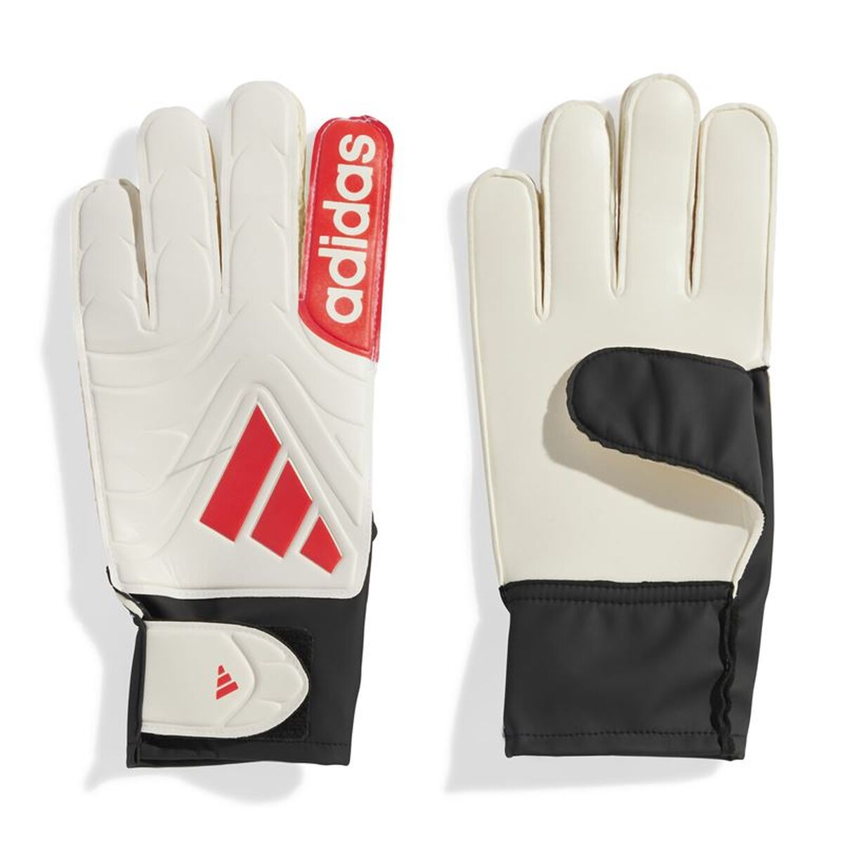 Keeperhandschoenen Adidas Copa Gl Clb Volwassenen
