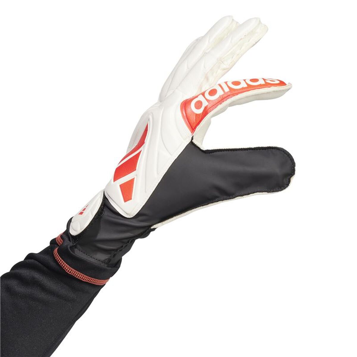 Keeperhandschoenen Adidas Copa Gl Clb Volwassenen