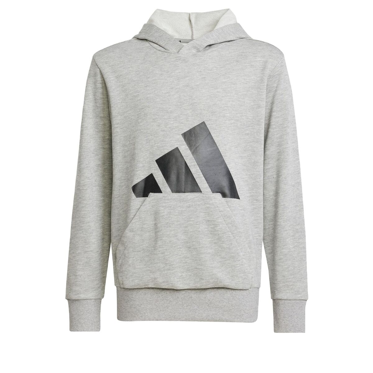 Sweatshirt met Capuchon voor Meisjes Adidas Big Logo French Terry Hd Lichtgrijs