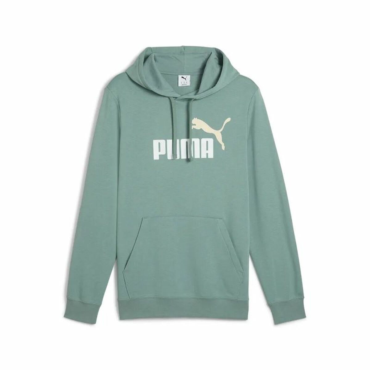 Sweat à capuche homme Puma Puma Essentials 2 Color No. 1 Lo Vert Aigue marine