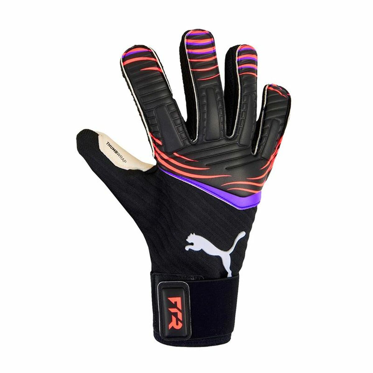 Gants de Gardien de But Puma Future Pro Hybrid Noir Adultes