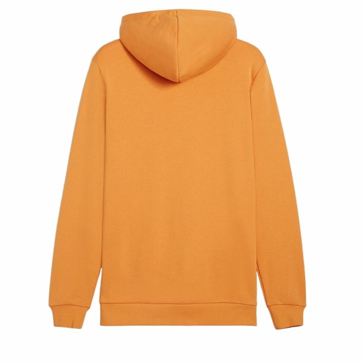 Image secondaire de Sweat à capuche homme Puma Essentials Gris XXL