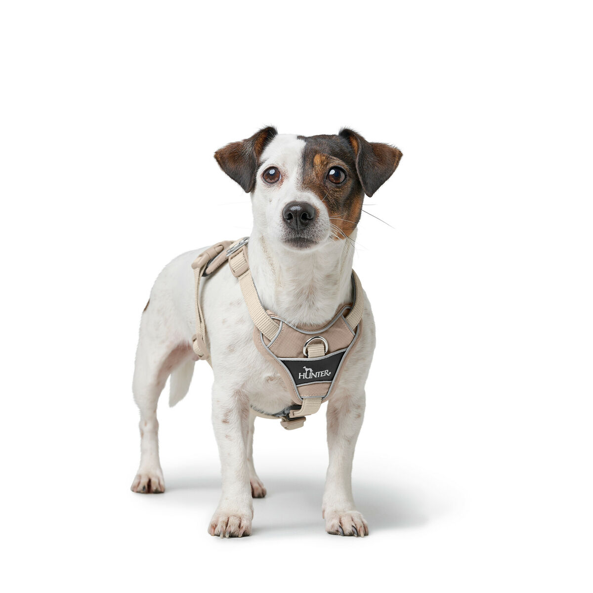 Hondentuigje Hunter DIVO UP Beige L
