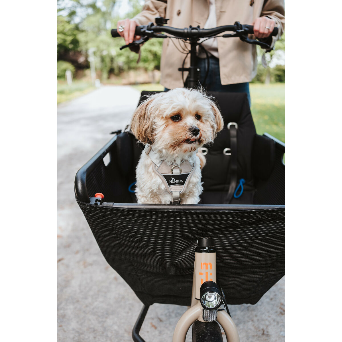 Hondentuigje Hunter DIVO UP Beige L