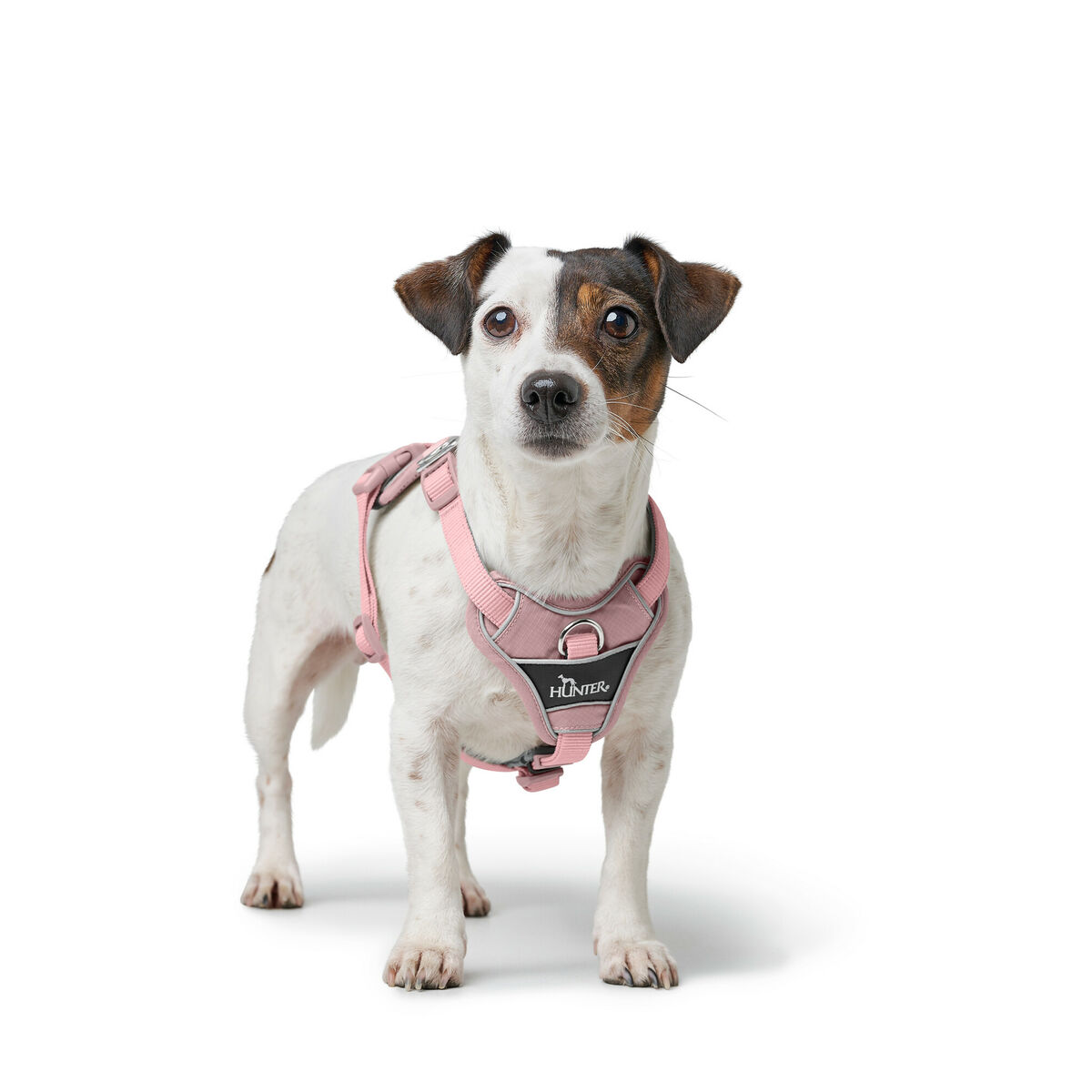 Hondentuigje Hunter DIVO UP Roze XS