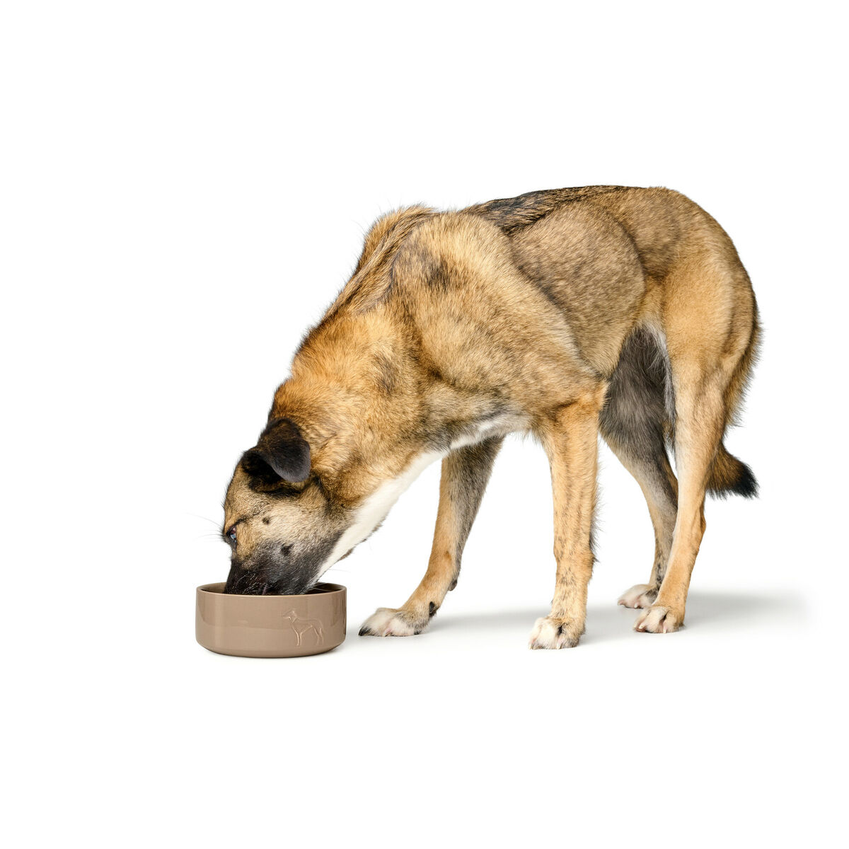 Image secondaire de Mangeoire pour chiens Hunter OSBY