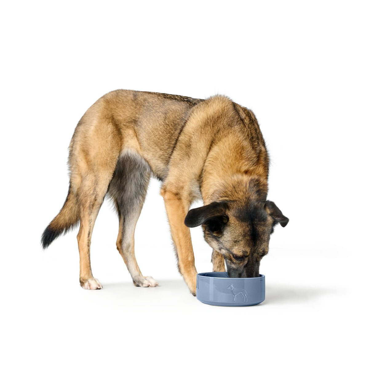 Image secondaire de Mangeoire pour chiens Hunter OSBY Bleu Céramique 350 ml