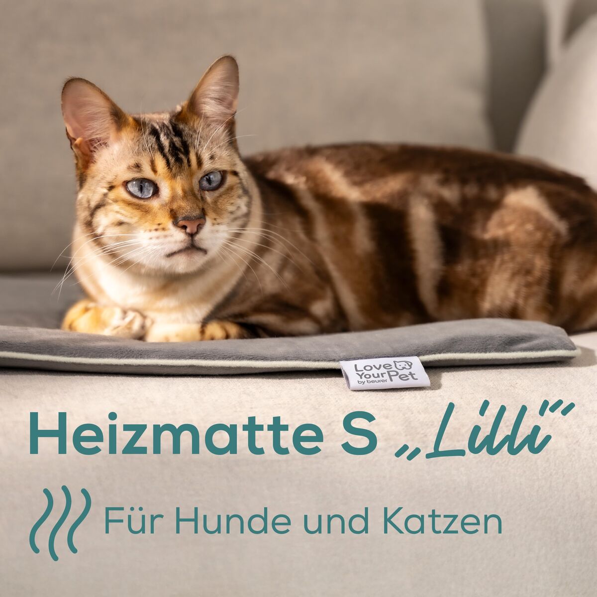 Electric pet bed Beurer PP210 LILLI Grey Small, view 3