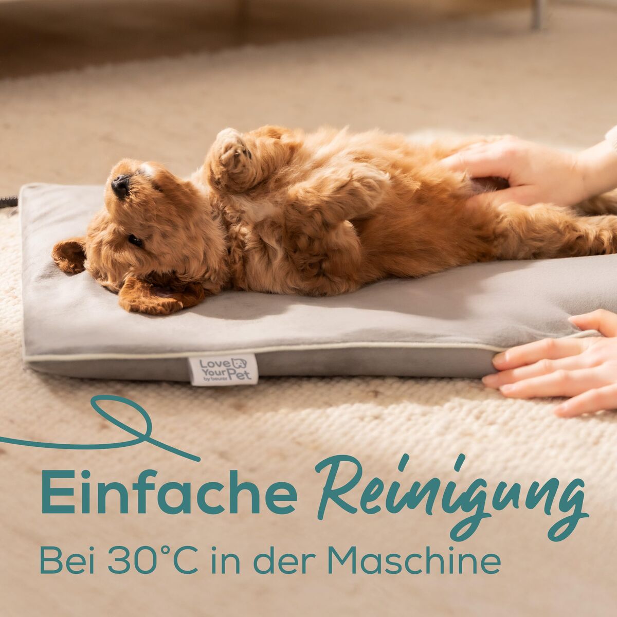 Electric pet bed Beurer PP210 LILLI Grey Small, view 4