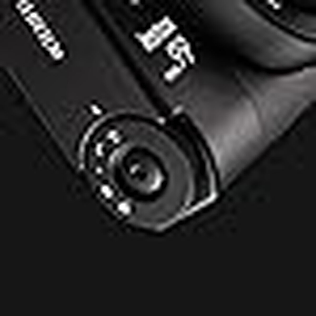 Photogrpahic Printer Fujifilm MINI 99