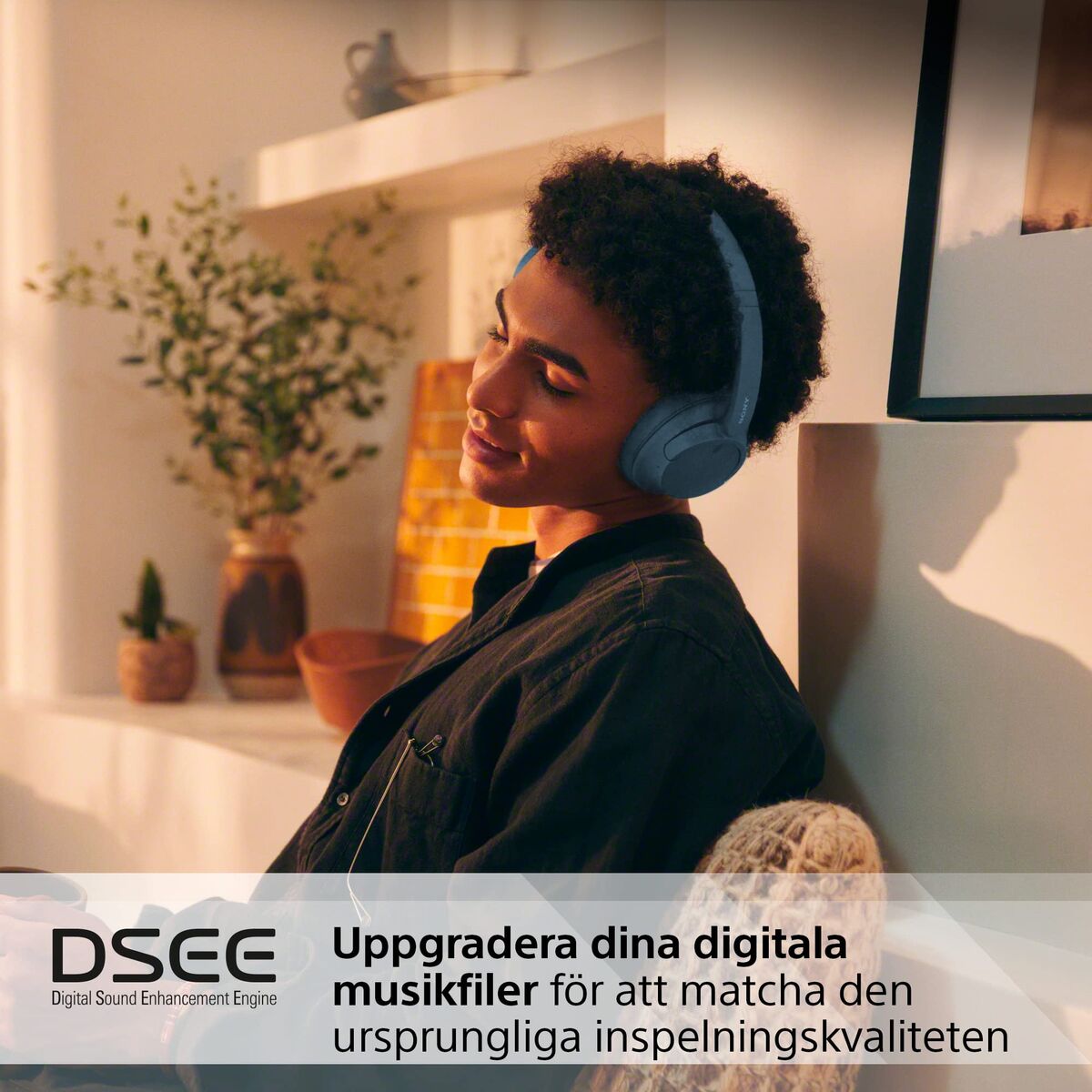 Headphones Sony WH-CH720