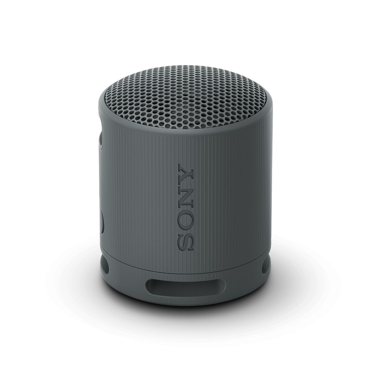 Picture of Bluetooth Speakers Sony SRSXB100B Black