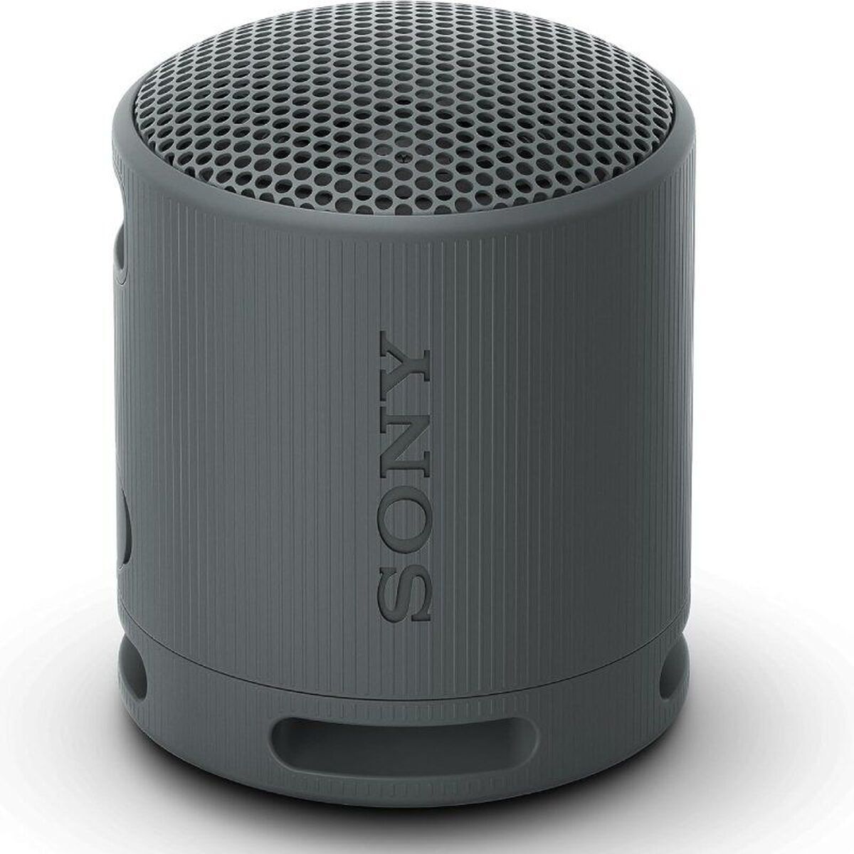 Picture of Bluetooth Speakers Sony SRSXB100B Black