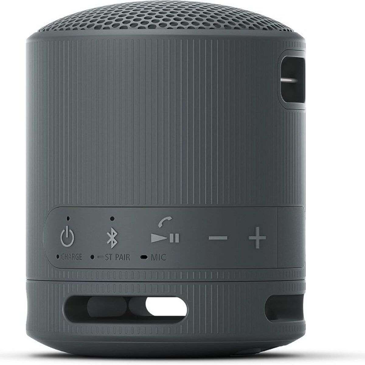 Picture of Bluetooth Speakers Sony SRSXB100B Black