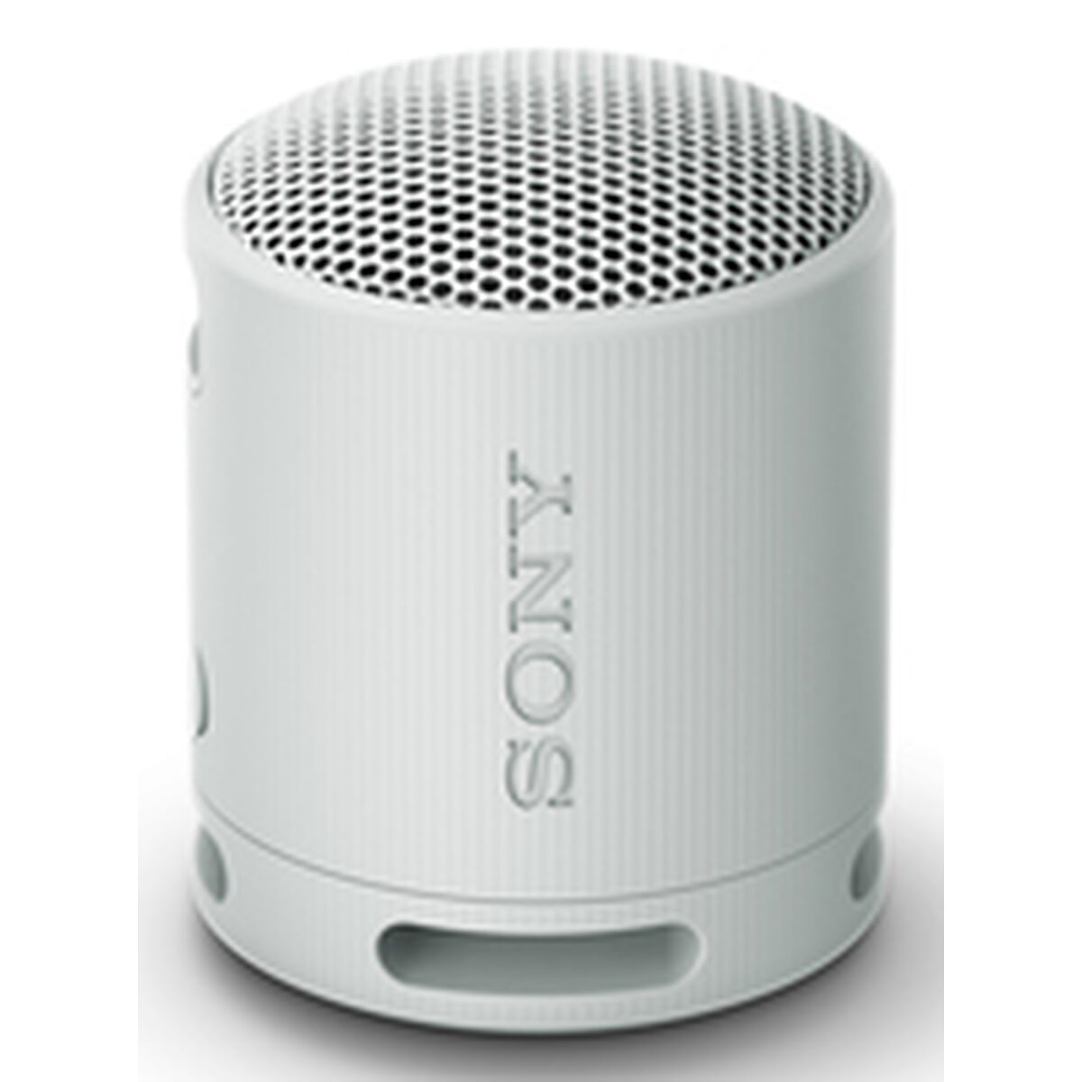 Bild von Portable Bluetooth Speakers Sony SRSXB100H Grey